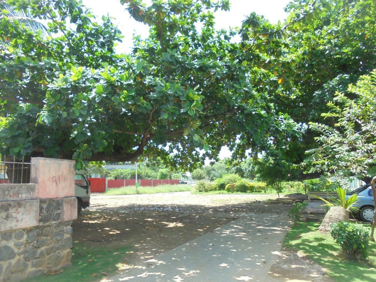 Residencialdes Bed and Breakfast Sao Tome Eksteriør billede